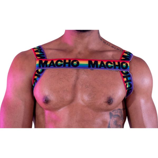 Ham elastic MACHO - Double Harness